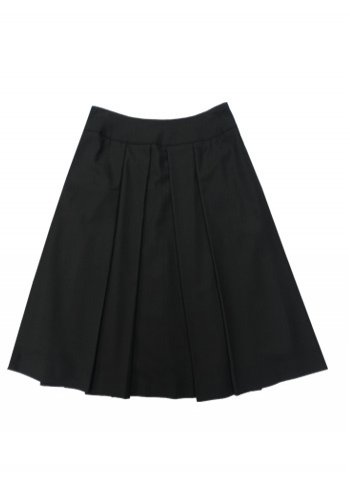 Pleated skirt Birgit Female dress